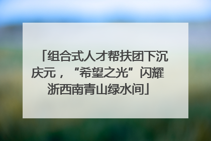 组合式人才帮扶团下沉庆元，“希望之光”闪耀浙西南青山绿水间