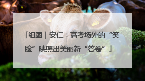 组图｜安仁：高考场外的“笑脸”映照出美丽新“答卷”