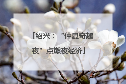 绍兴：“仲夏奇趣夜”点燃夜经济