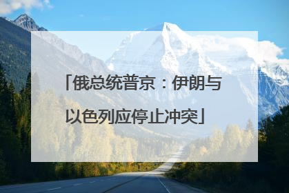 俄总统普京：伊朗与以色列应停止冲突