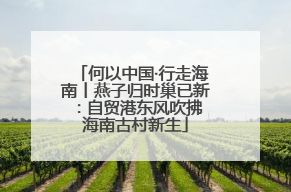何以中国·行走海南丨燕子归时巢已新：自贸港东风吹拂 海南古村新生
