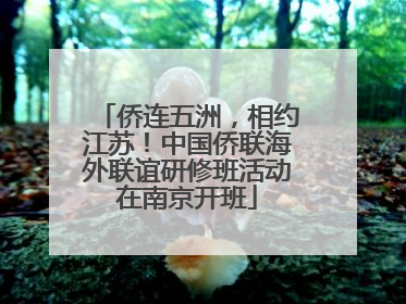侨连五洲，相约江苏！中国侨联海外联谊研修班活动在南京开班