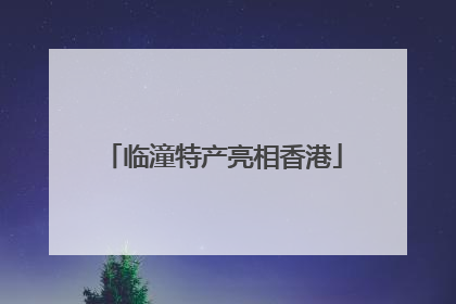 临潼特产亮相香港