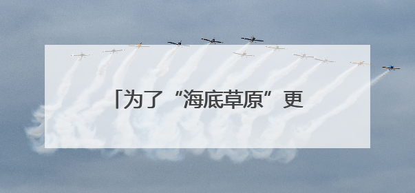 为了“海底草原”更繁茂（美丽中国）
