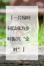 一片绿叶何以成为乡村振兴“金叶”