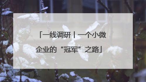 一线调研丨一个小微企业的“冠军”之路