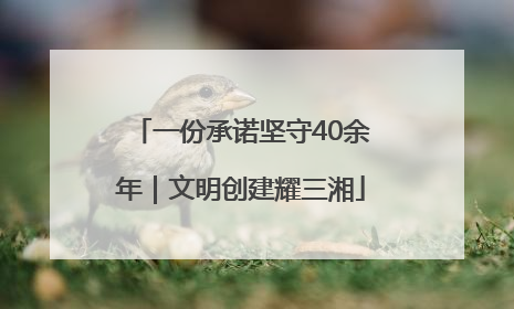 一份承诺坚守40余年｜文明创建耀三湘