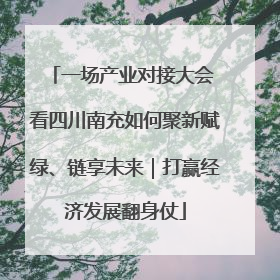 一场产业对接大会 看四川南充如何聚新赋绿、链享未来｜打赢经济发展翻身仗