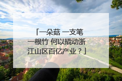 一朵菇 一支笔 一根竹 何以撬动浙江山区百亿产业？