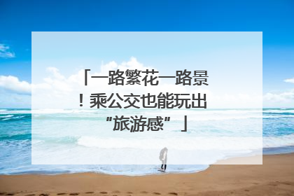 一路繁花一路景！乘公交也能玩出“旅游感”