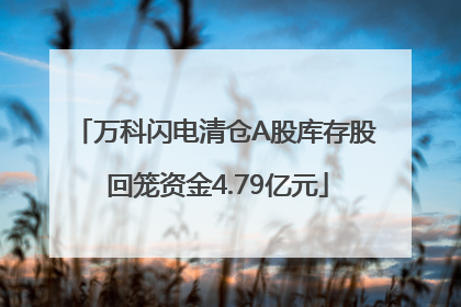 万科闪电清仓A股库存股 回笼资金4.79亿元