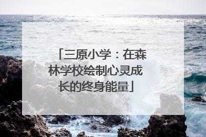 三原小学：在森林学校绘制心灵成长的终身能量