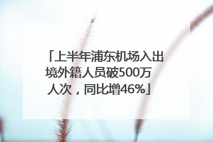 上半年浦东机场入出境外籍人员破500万人次，同比增46%