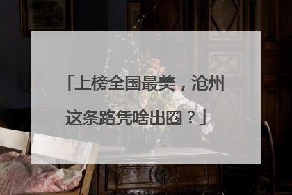 上榜全国最美，沧州这条路凭啥出圈？