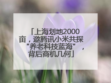 上海划地2000亩，邀腾讯小米共探“养老科技蓝海”，背后商机几何