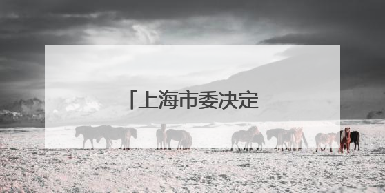 上海市委决定：王平履新