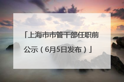 上海市市管干部任职前公示（6月5日发布）