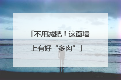 不用减肥！这面墙上有好“多肉”