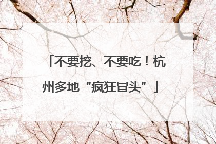 不要挖、不要吃！杭州多地“疯狂冒头”