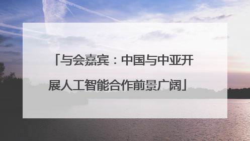 与会嘉宾：中国与中亚开展人工智能合作前景广阔