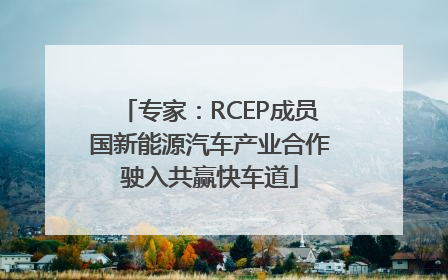 专家：RCEP成员国新能源汽车产业合作驶入共赢快车道