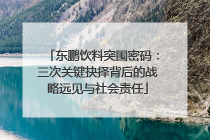 东鹏饮料突围密码：三次关键抉择背后的战略远见与社会责任