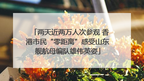 两天近两万人次参观 香港市民“零距离”感受山东舰航母编队雄伟英姿