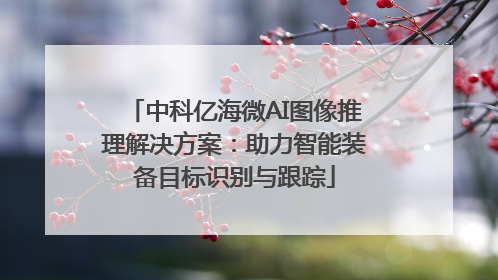 中科亿海微AI图像推理解决方案：助力智能装备目标识别与跟踪