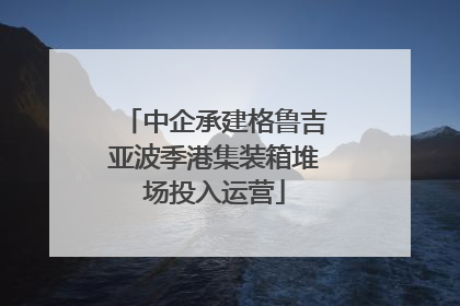中企承建格鲁吉亚波季港集装箱堆场投入运营