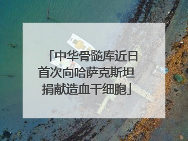 中华骨髓库近日首次向哈萨克斯坦捐献造血干细胞