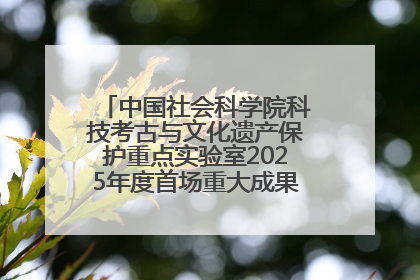 中国社会科学院科技考古与文化遗产保护重点实验室2025年度首场重大成果发布会在京举行