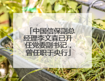 中国信保副总经理李文森已升任党委副书记，曾任职于央行