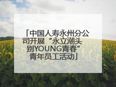 中国人寿永州分公司开展“永立潮头 别YOUNG青春”青年员工活动