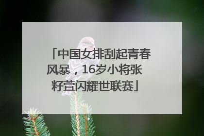 中国女排刮起青春风暴，16岁小将张籽萱闪耀世联赛