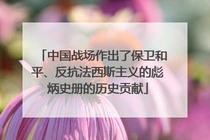 中国战场作出了保卫和平、反抗法西斯主义的彪炳史册的历史贡献
