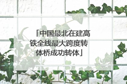 中国最北在建高铁全线最大跨度转体桥成功转体