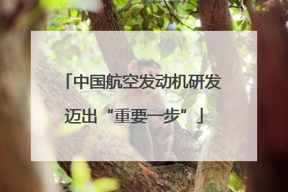 中国航空发动机研发迈出“重要一步”