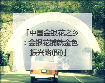中国金银花之乡：金银花铺就金色振兴路(图)