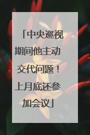 中央巡视期间他主动交代问题！上月底还参加会议