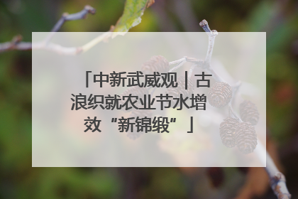 中新武威观｜古浪织就农业节水增效“新锦缎”
