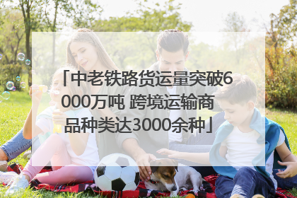 中老铁路货运量突破6000万吨 跨境运输商品种类达3000余种