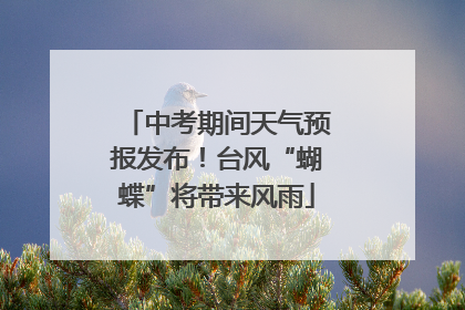 中考期间天气预报发布！台风“蝴蝶”将带来风雨