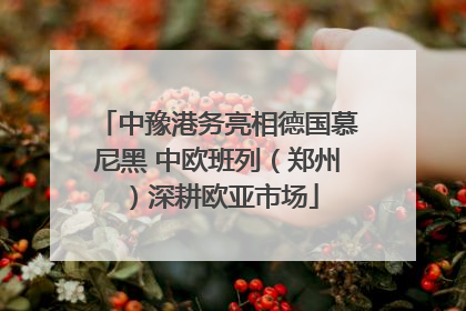 中豫港务亮相德国慕尼黑 中欧班列（郑州）深耕欧亚市场