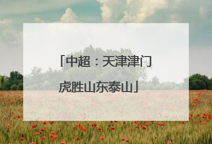 中超：天津津门虎胜山东泰山