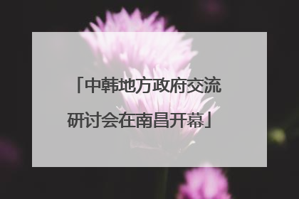 中韩地方政府交流研讨会在南昌开幕