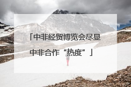 中非经贸博览会尽显中非合作“热度”