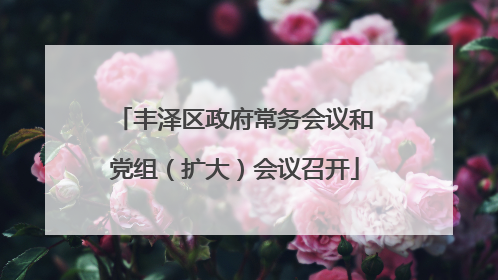 丰泽区政府常务会议和党组（扩大）会议召开