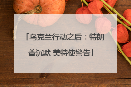 乌克兰行动之后：特朗普沉默 美特使警告