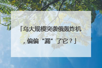 乌大规模突袭俄轰炸机，偏偏“漏”了它？