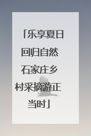 乐享夏日 回归自然 石家庄乡村采摘游正当时